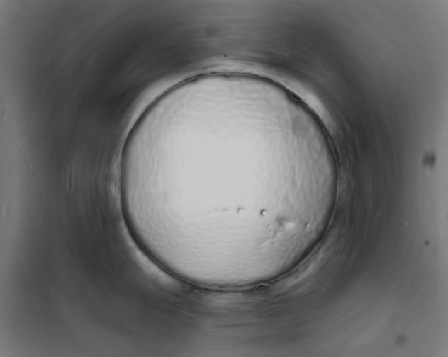 X0000101691247200808071126