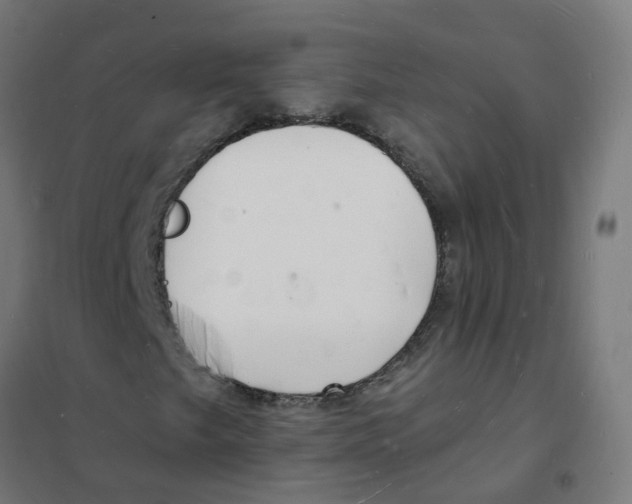 X0000101691249200808071125