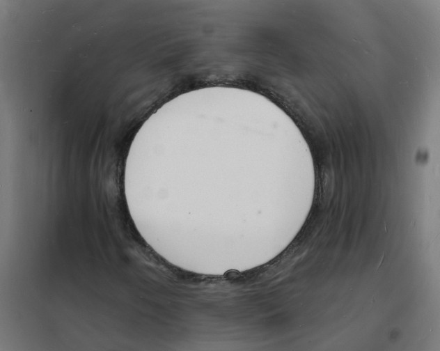 X0000101691250200808071125