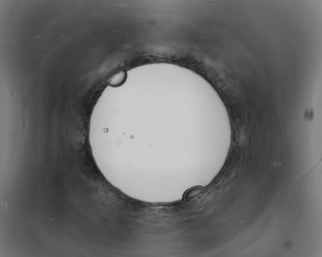 X0000101691253200808071125