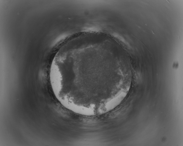 X0000101691254200808071125