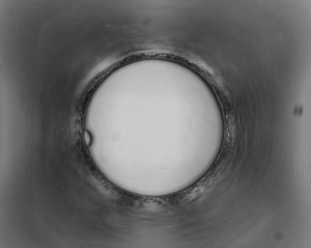 X0000101691255200808071125