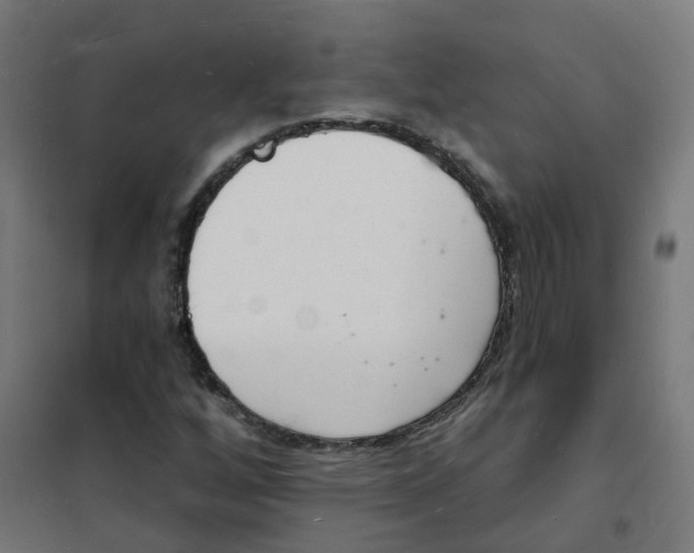 X0000101691256200808071125