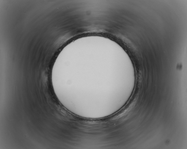 X0000101691257200808071125