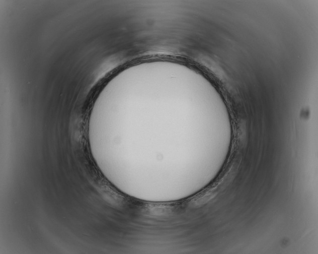 X0000101691258200808071125