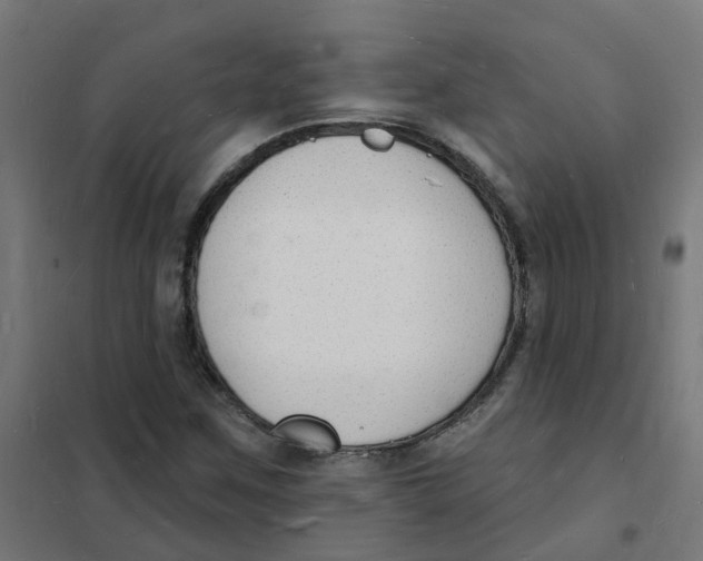 X0000101691259200808071125