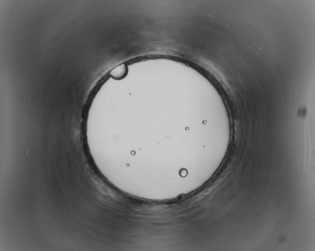 X0000101691260200808071125