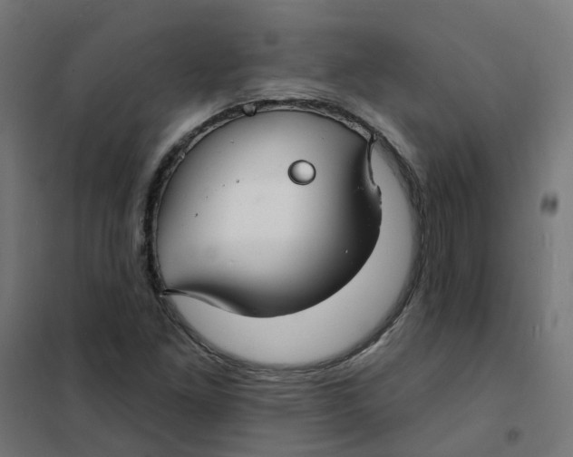 X0000101691261200808071125