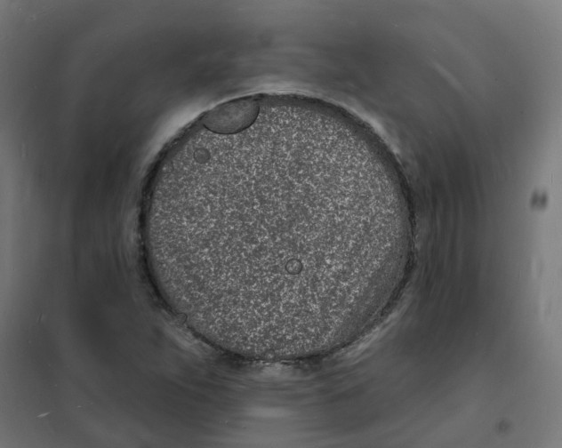 X0000101691263200808071125