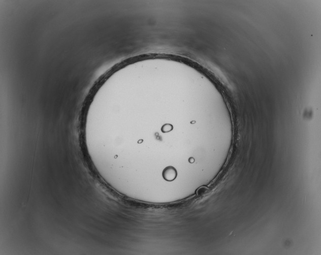 X0000101691264200808071125