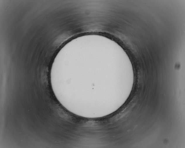 X0000101691265200808071125