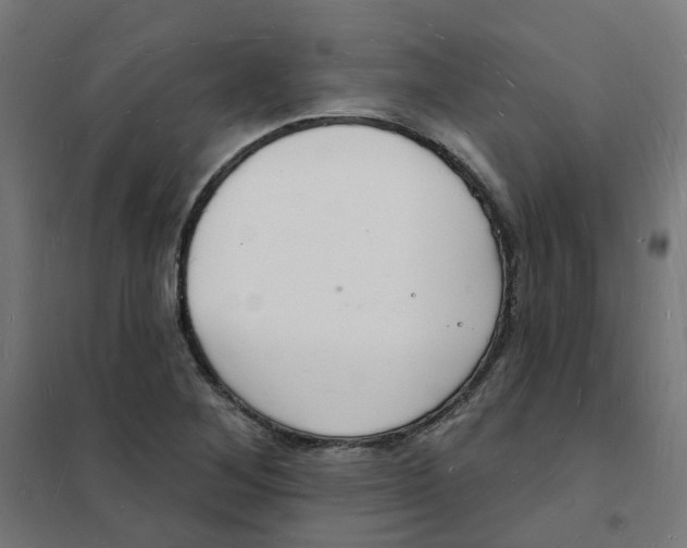 X0000101691268200808071125