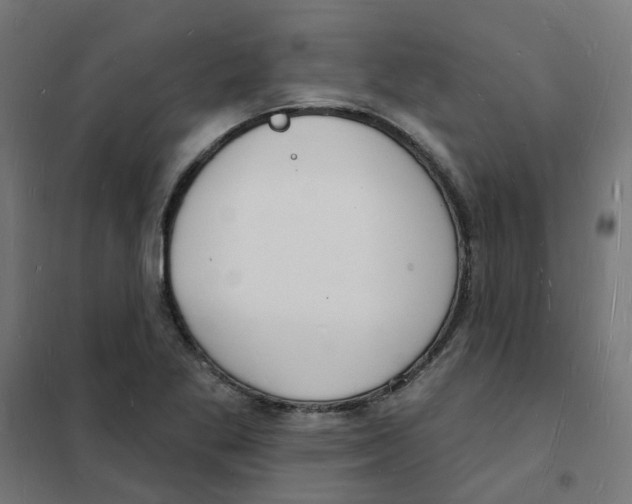 X0000101691269200808071125