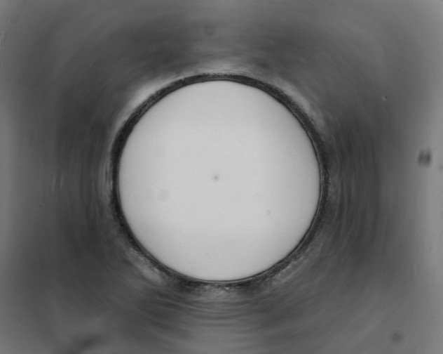 X0000101691270200808071125