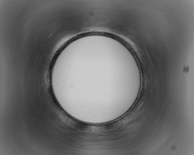 X0000101691271200808071125