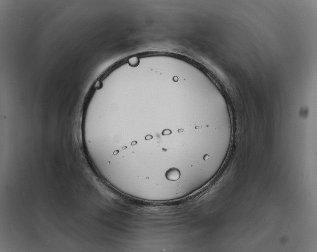 X0000101691272200808071125