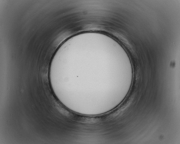 X0000101691273200808071125