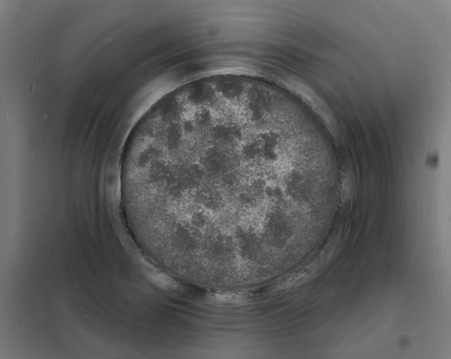 X0000101691274200808071125