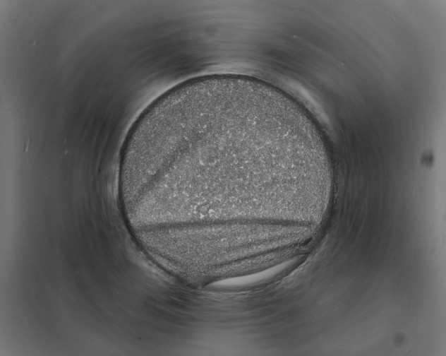 X0000101691276200808071125