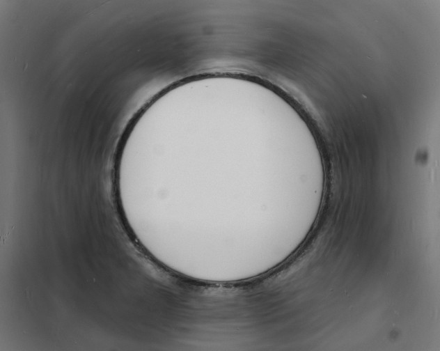 X0000101691277200808071125