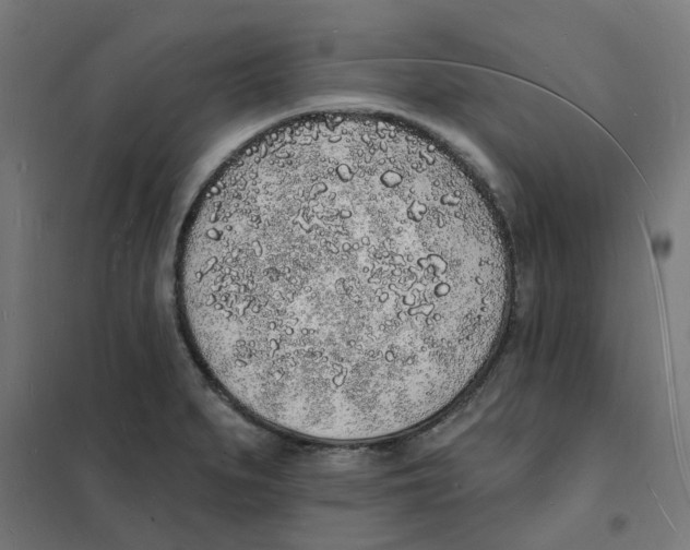 X0000101691279200808071125