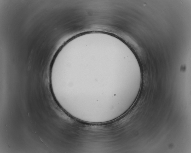 X0000101691280200808071124