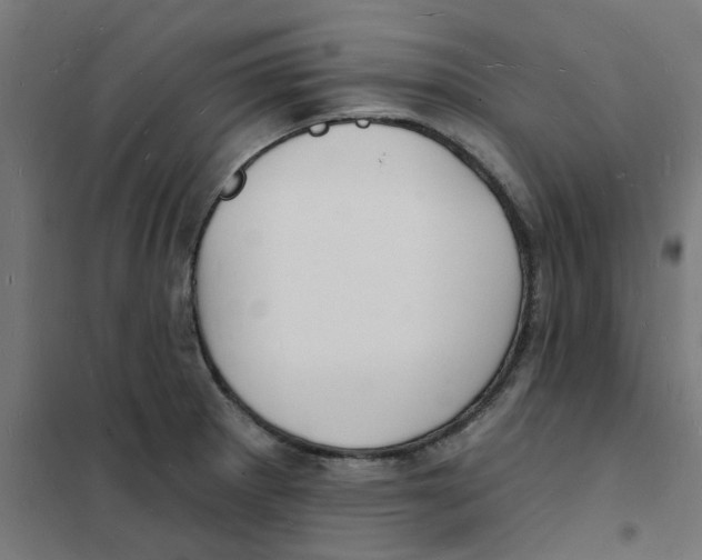 X0000101691281200808071124