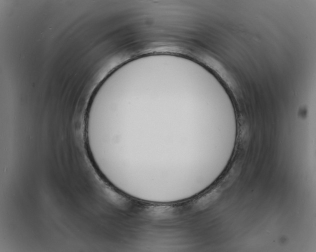 X0000101691282200808071124