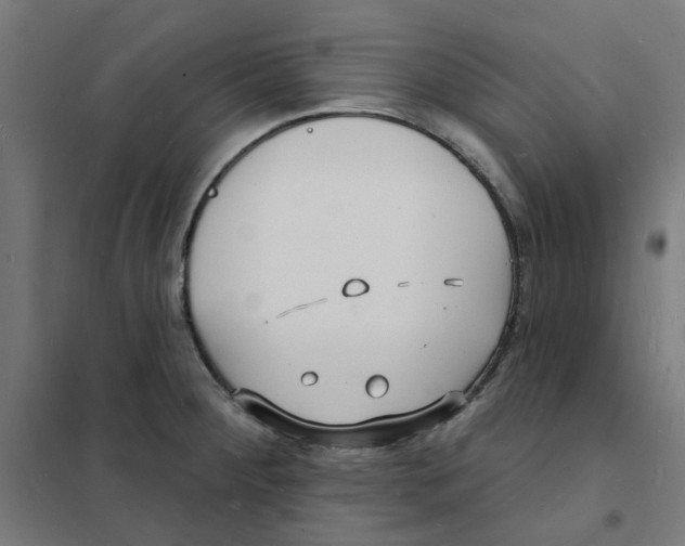 X0000101691284200808071124