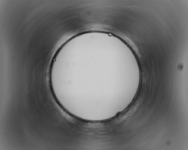 X0000101691285200808071124