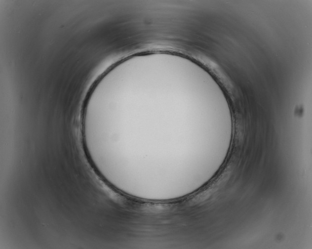 X0000101691286200808071124