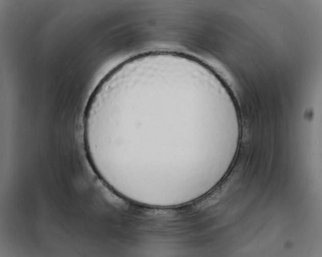 X0000101691287200808071124