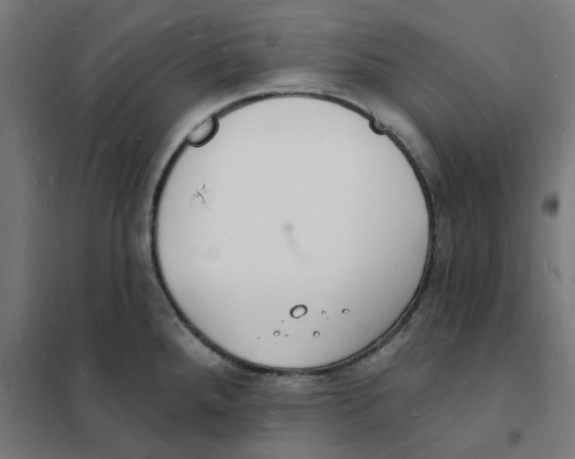 X0000101691288200808071124