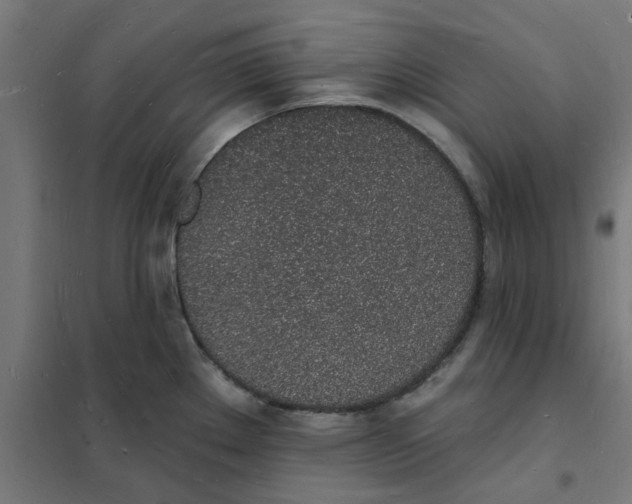 X0000101691289200808071124