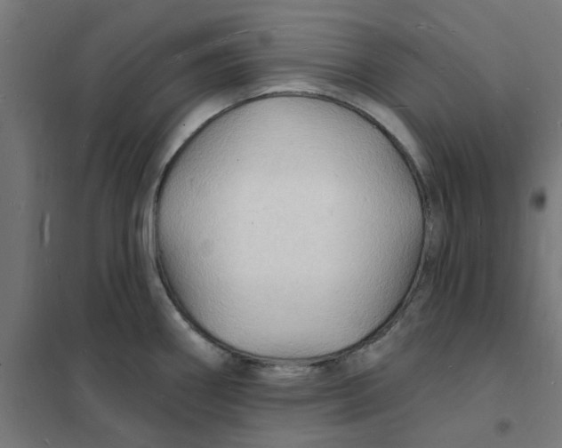 X0000101691290200808071124