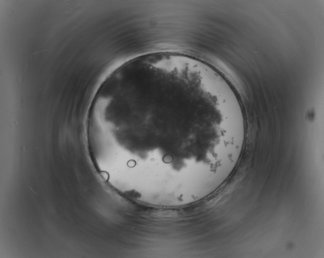 X0000101691291200808071124