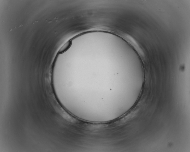 X0000101691292200808071124