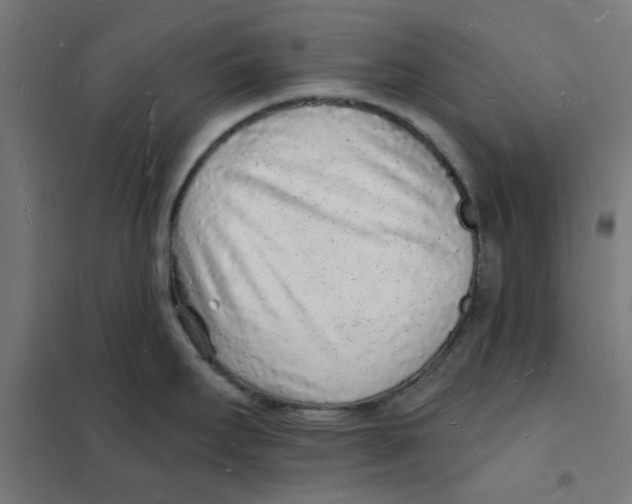 X0000101691295200808071124