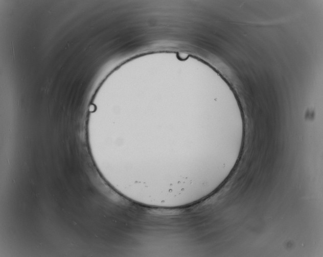 X0000101691296200808071124