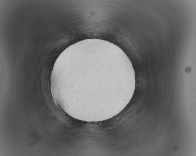 X0000101691297200808071123