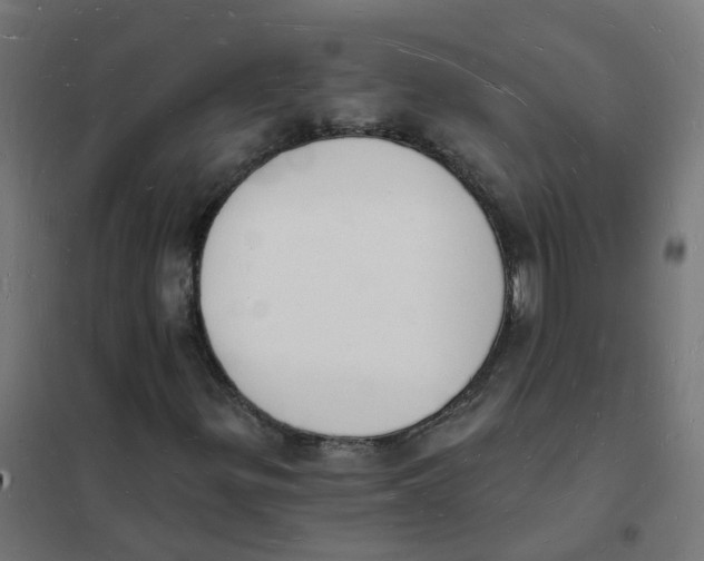 X0000101691299200808071123