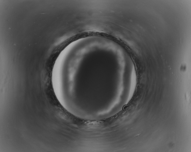 X0000101691303200808071124