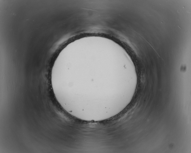 X0000101691304200808071124