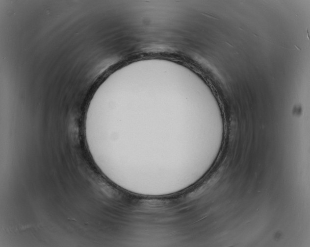 X0000101691305200808071124