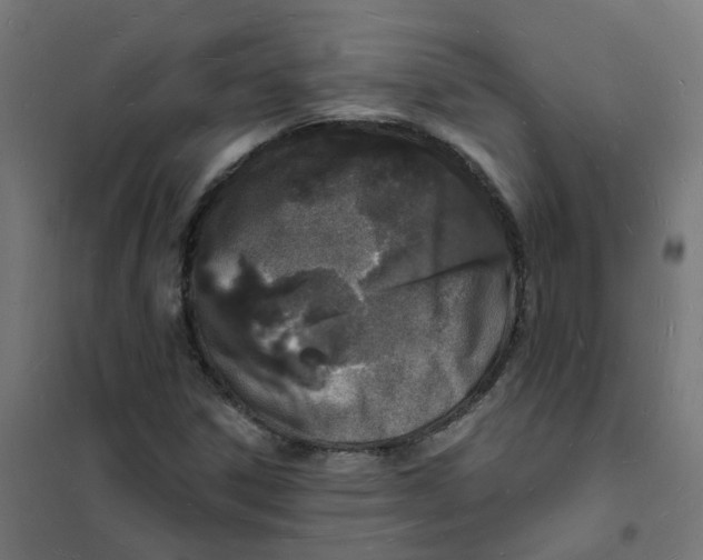 X0000101691306200808071124