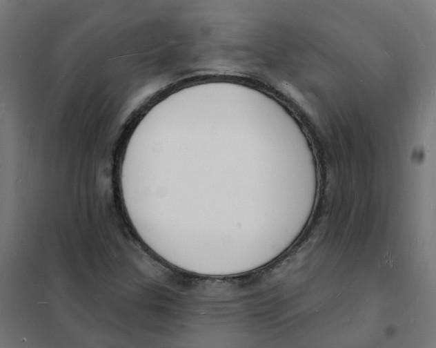 X0000101691307200808071124