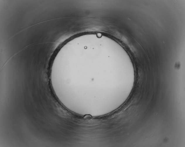 X0000101691308200808071124