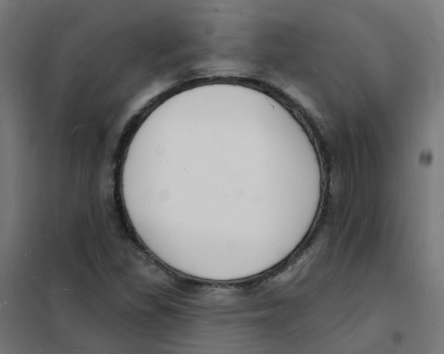 X0000101691309200808071124