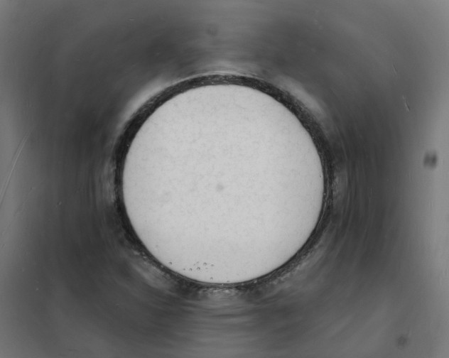 X0000101691310200808071124