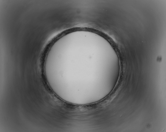 X0000101691311200808071124